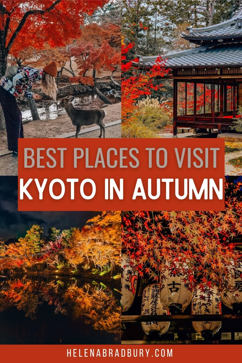 Best Places to Visit in Vietnam in October: An Autumn Adventure