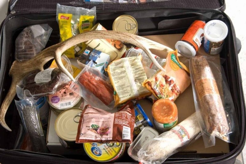 Can I Bring Food into Vietnam - Customs Guide