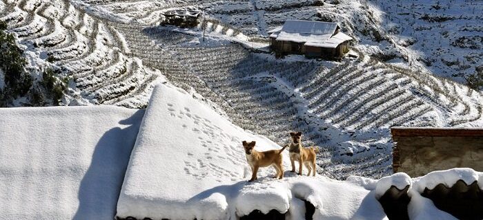 does it snow in vietnam Sapa - the only place to has snow in Vietnam | Trekking Sapa Tours