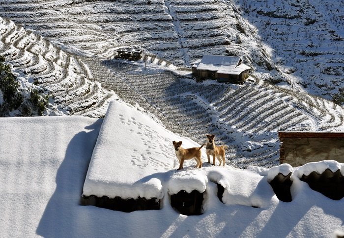 does it snow in vietnam Sapa - the only place to has snow in Vietnam | Trekking Sapa Tours