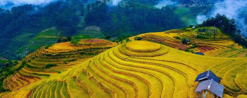 Panoramic view of Don Village with stilt houses and terraced rice fields.
