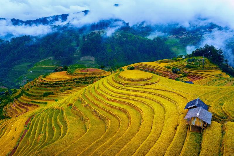 Panoramic view of Don Village with stilt houses and terraced rice fields.