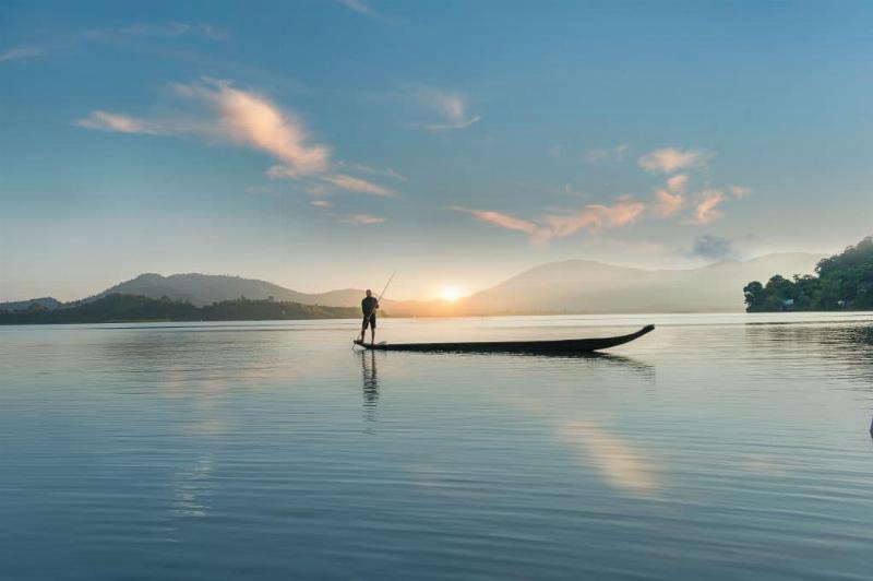 majestic Elephant Mountain silhouette resembling an elephant amidst green rice paddies