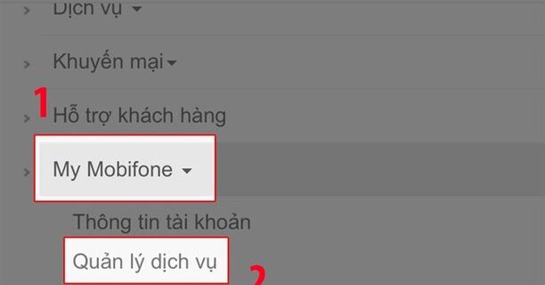 how to check balance mobifone vietnam Guide to 4 Simple Ways to Check Mobifone 4G Data Usage