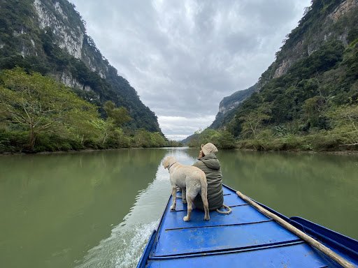 Travel