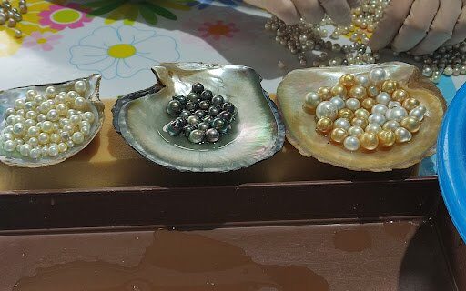 where to buy pearls in vietnam Legend Pearl