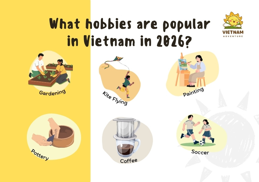 What hobbies are popular in Vietnam in 2026?